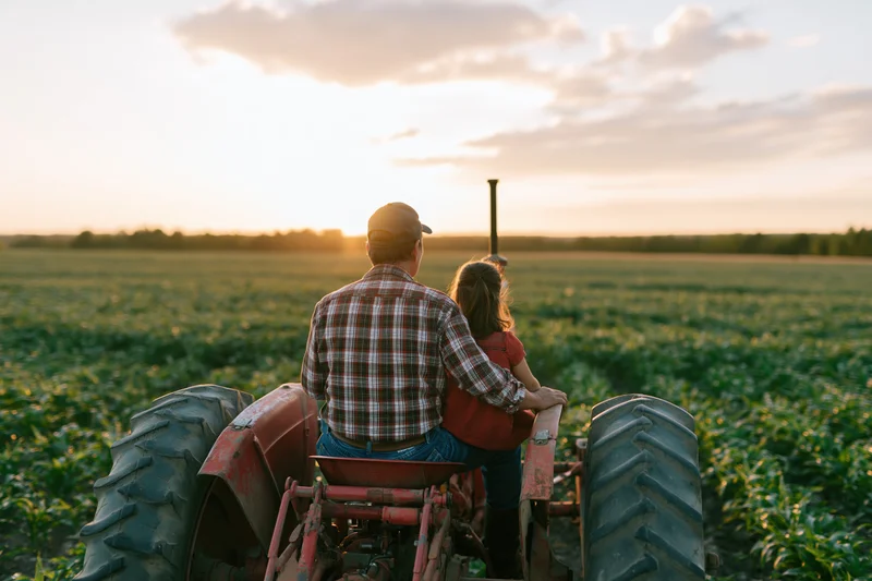Farmer and young girl sitting on vintage tractor in soybean field at sunset