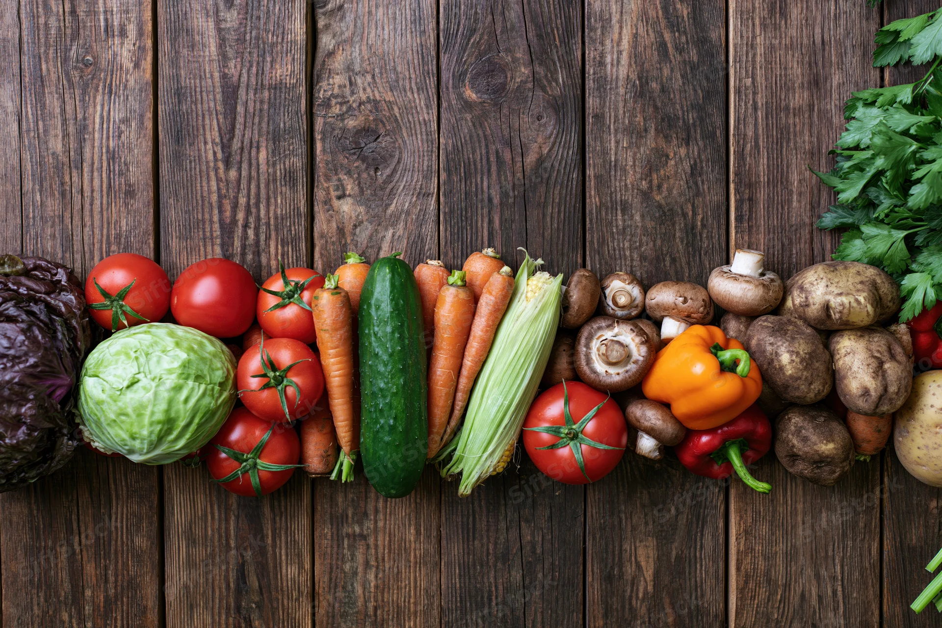 Assorted fresh vegetables arranged in a row on a dark wooden surface with copyspace above