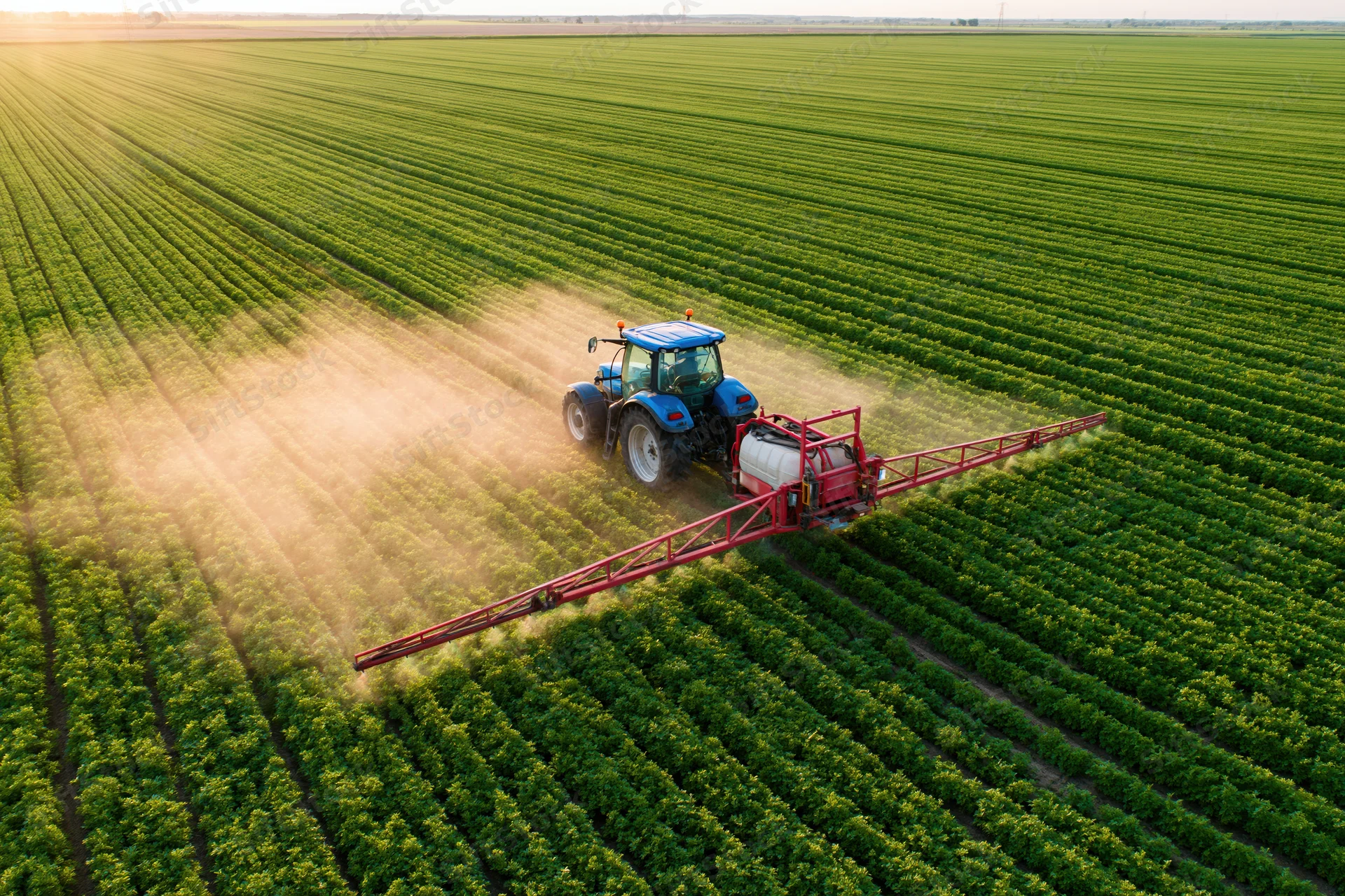 Blue tractor pulling red boom sprayer across green crop field at sunset