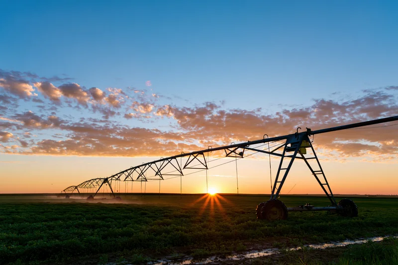 Center-pivot irrigation system stretching across a flat agricultural field at sunset