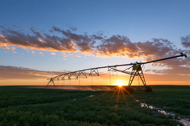 Center-pivot irrigation system watering a crop field at sunset