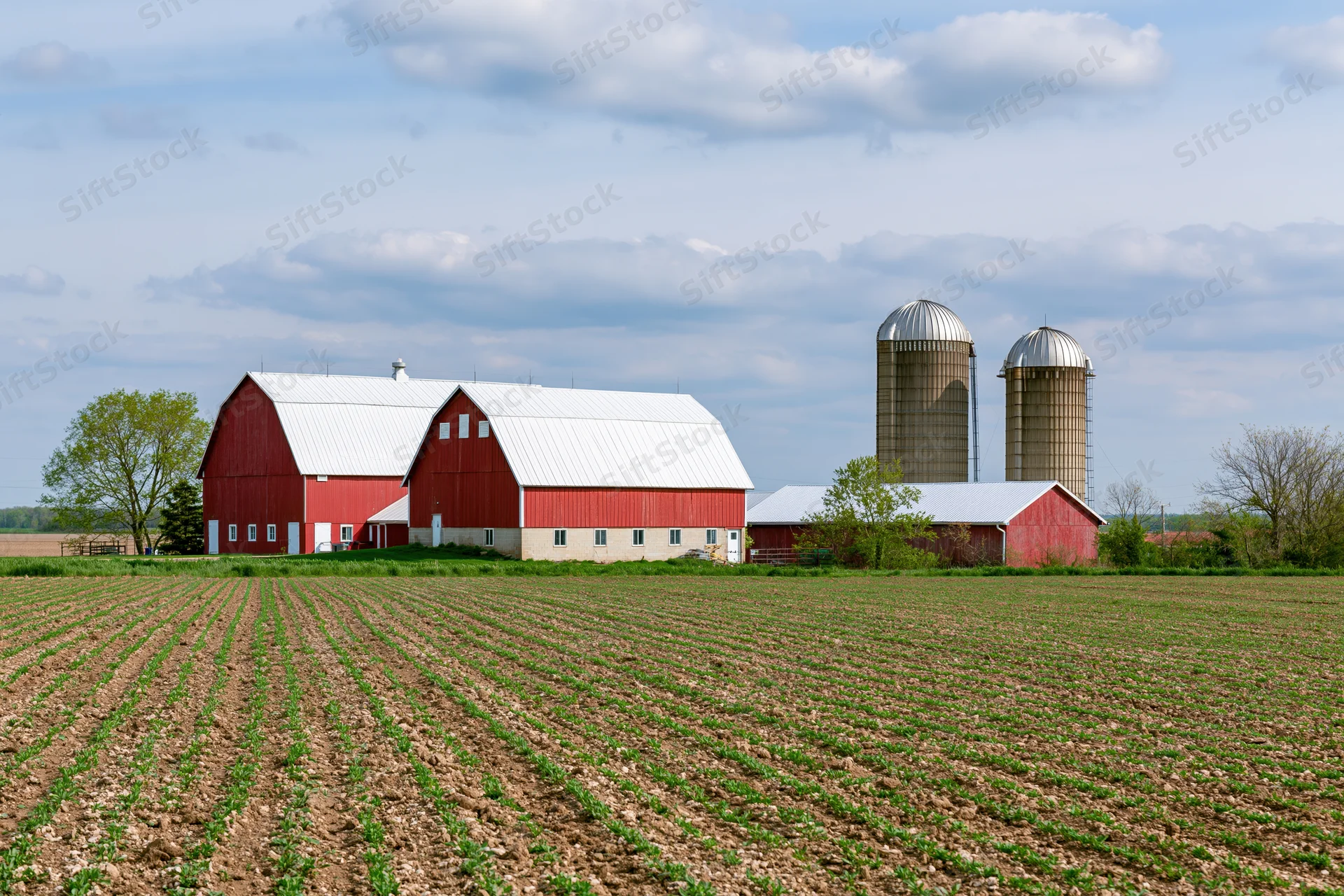 Red barns and silos in a plowed field under a cloudy sky in the american midwest