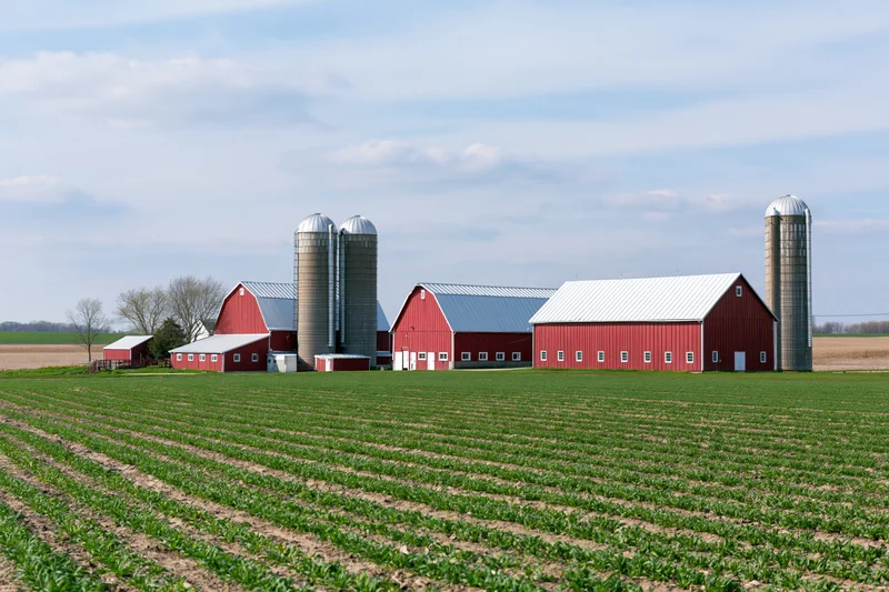 Red barns and silos arranged in a farm compound surrounded by green crop fields under a partly cloudy sky