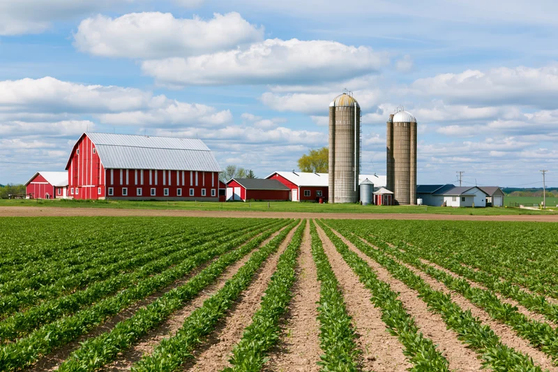 Classic American Midwest farmstead with red barn two grain silos