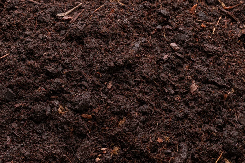 Dark organic compost soil filling the frame in a flat lay view