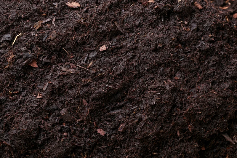 Dark organic compost soil filling the frame in a flat lay view