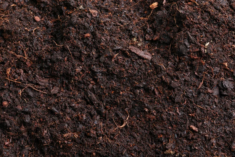 Dark organic compost soil filling the frame in a flat lay view