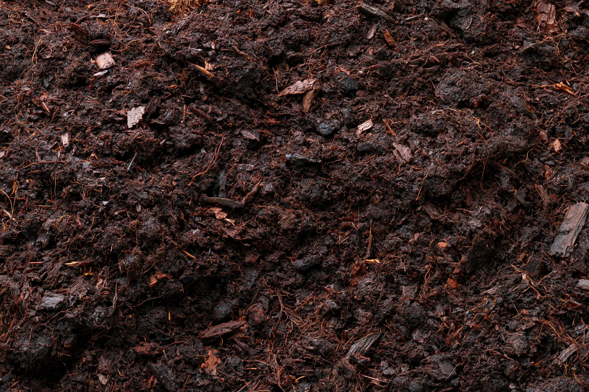 Dark organic compost soil filling the frame in a flat lay view