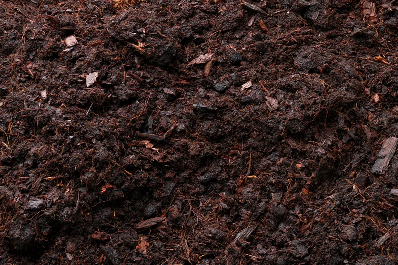 Dark organic compost soil filling the frame in a flat lay view