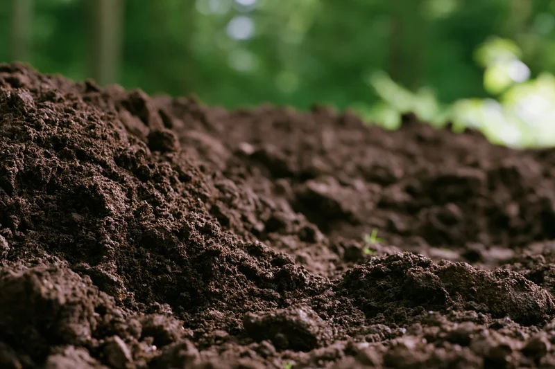 Freshly tilled dark brown soil at ground level in a garden setting
