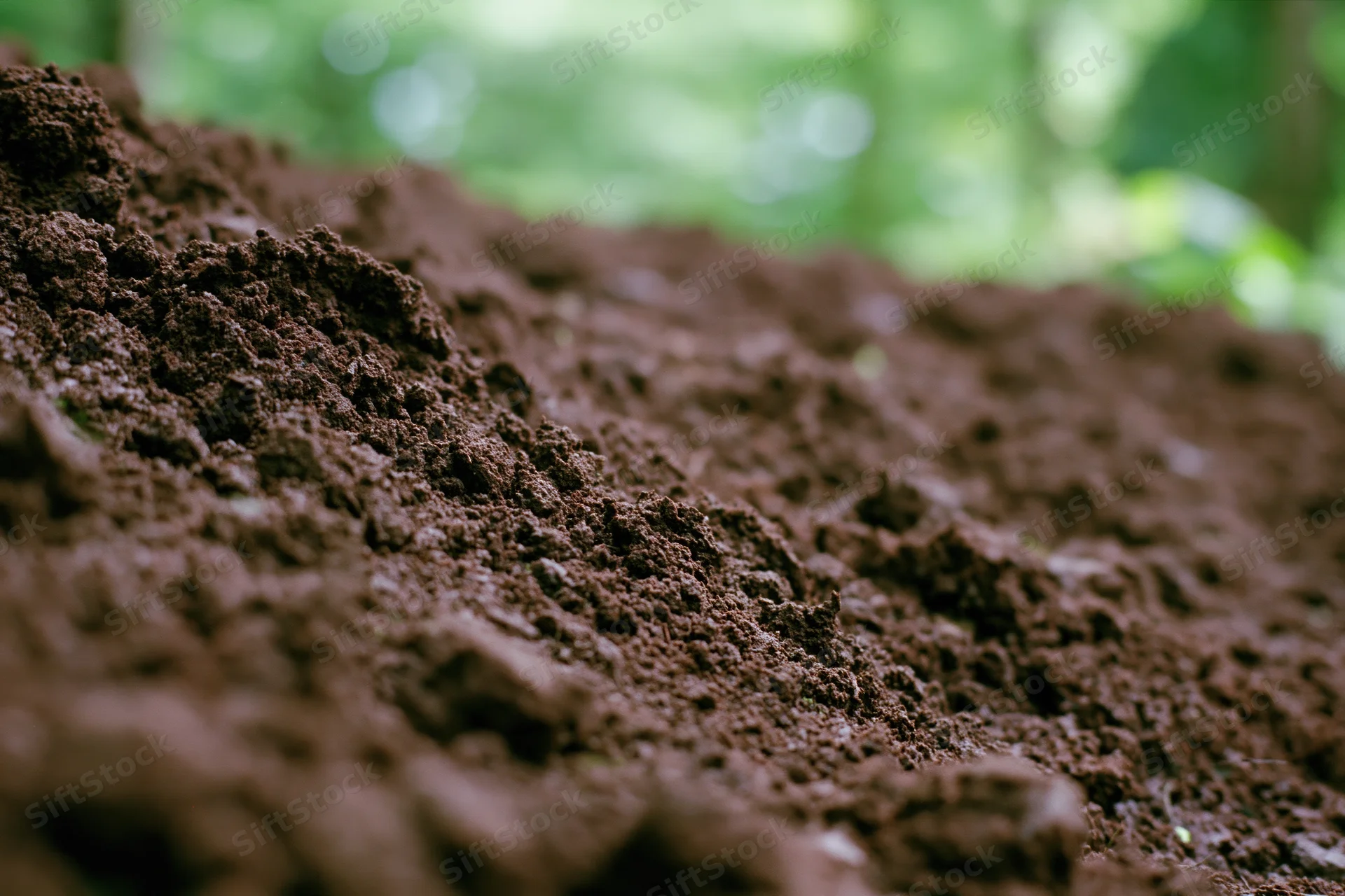 Freshly tilled dark brown soil in a garden setting with green foliage in the background