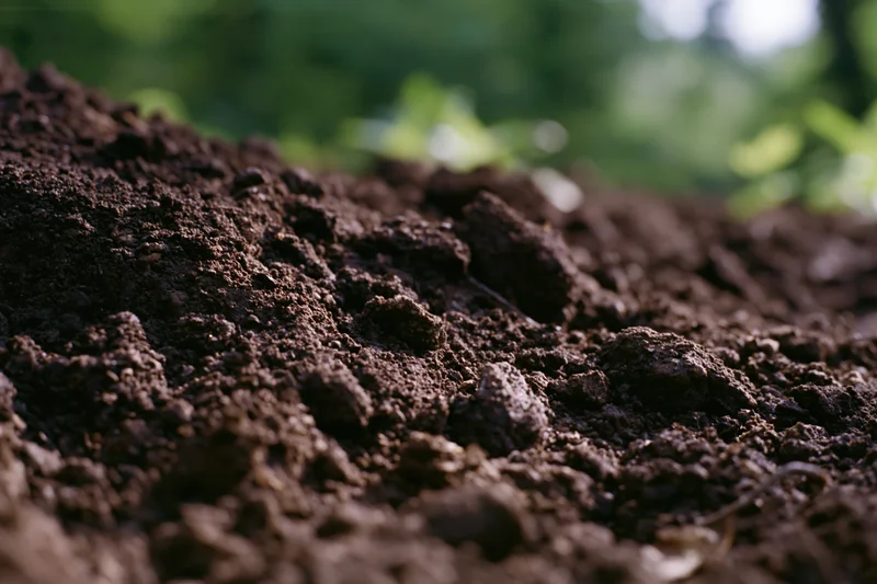 Freshly tilled dark brown soil in a garden setting with blurred green foliage in the background