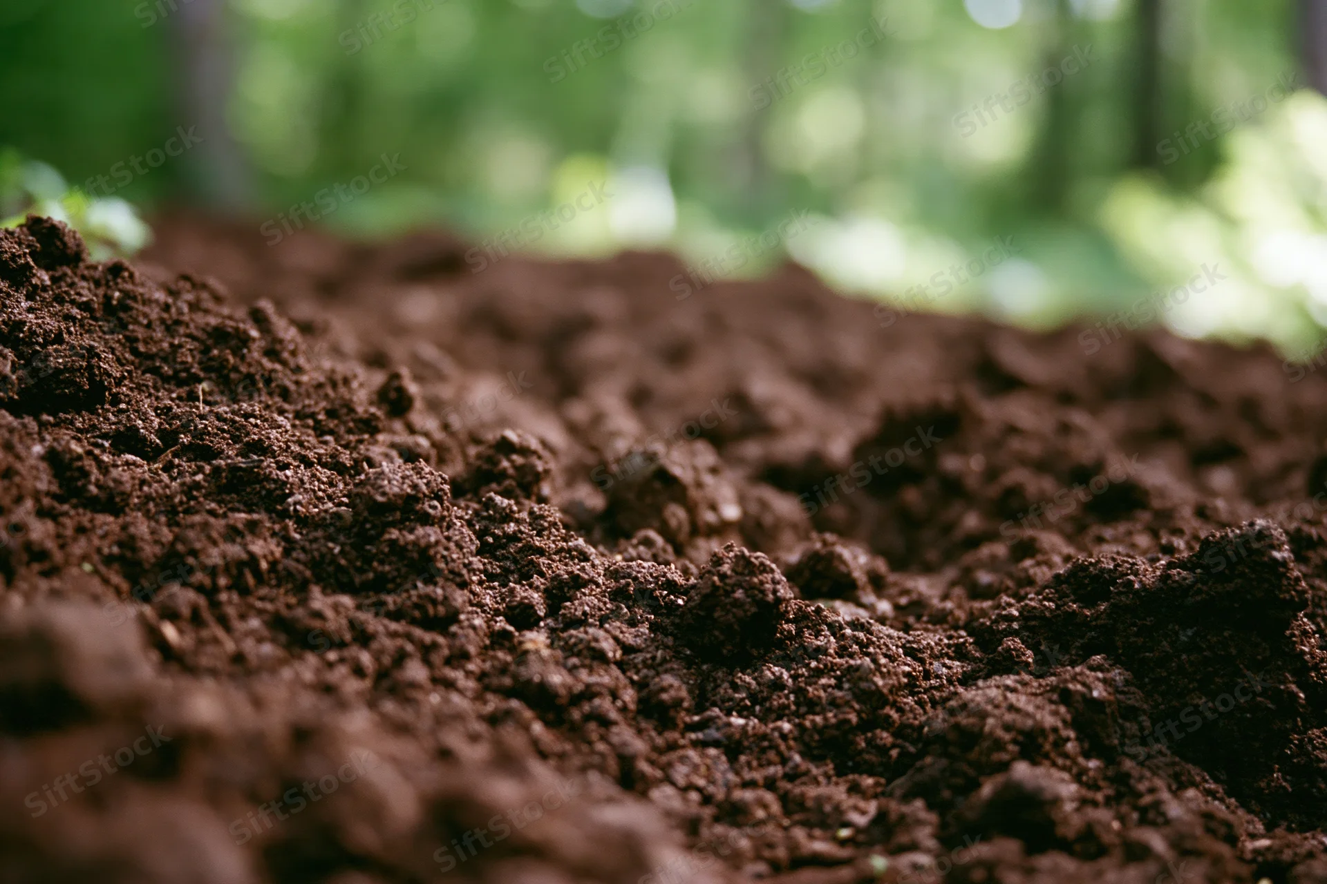 Freshly tilled dark brown soil at ground level in a garden setting