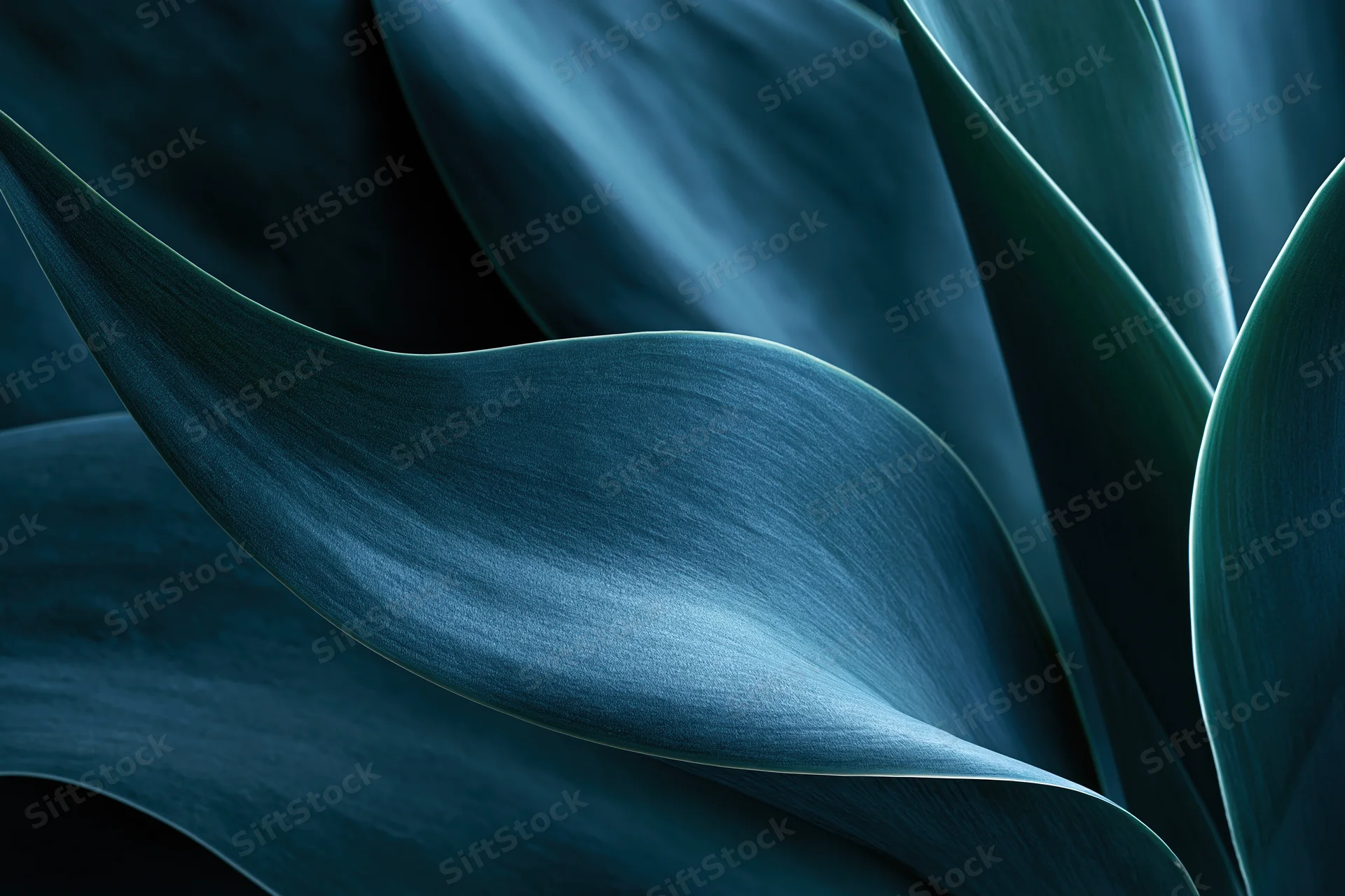 Overlapping agave leaves in close-up macro view showing smooth curved surfaces and layered texture