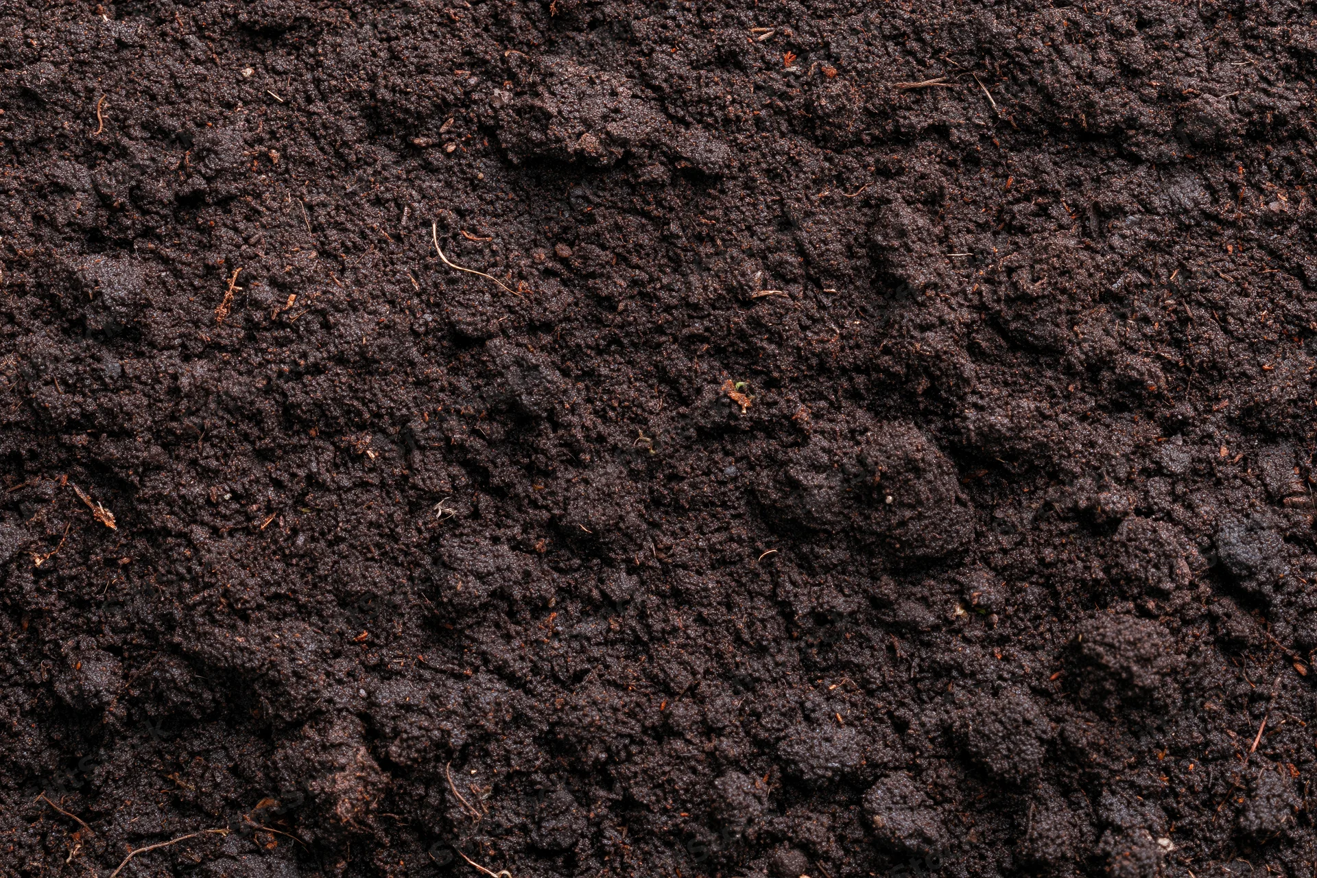 Dark moist garden soil filling the frame in overhead flat lay view