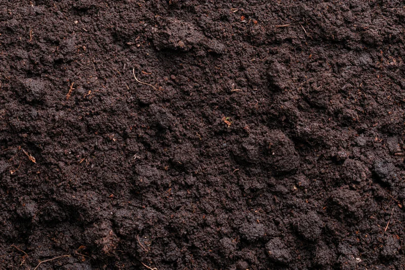 Dark moist garden soil filling the frame in overhead flat lay view