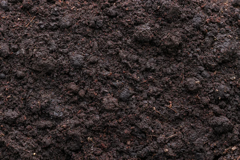 Dark moist garden soil filling the frame in close-up overhead view