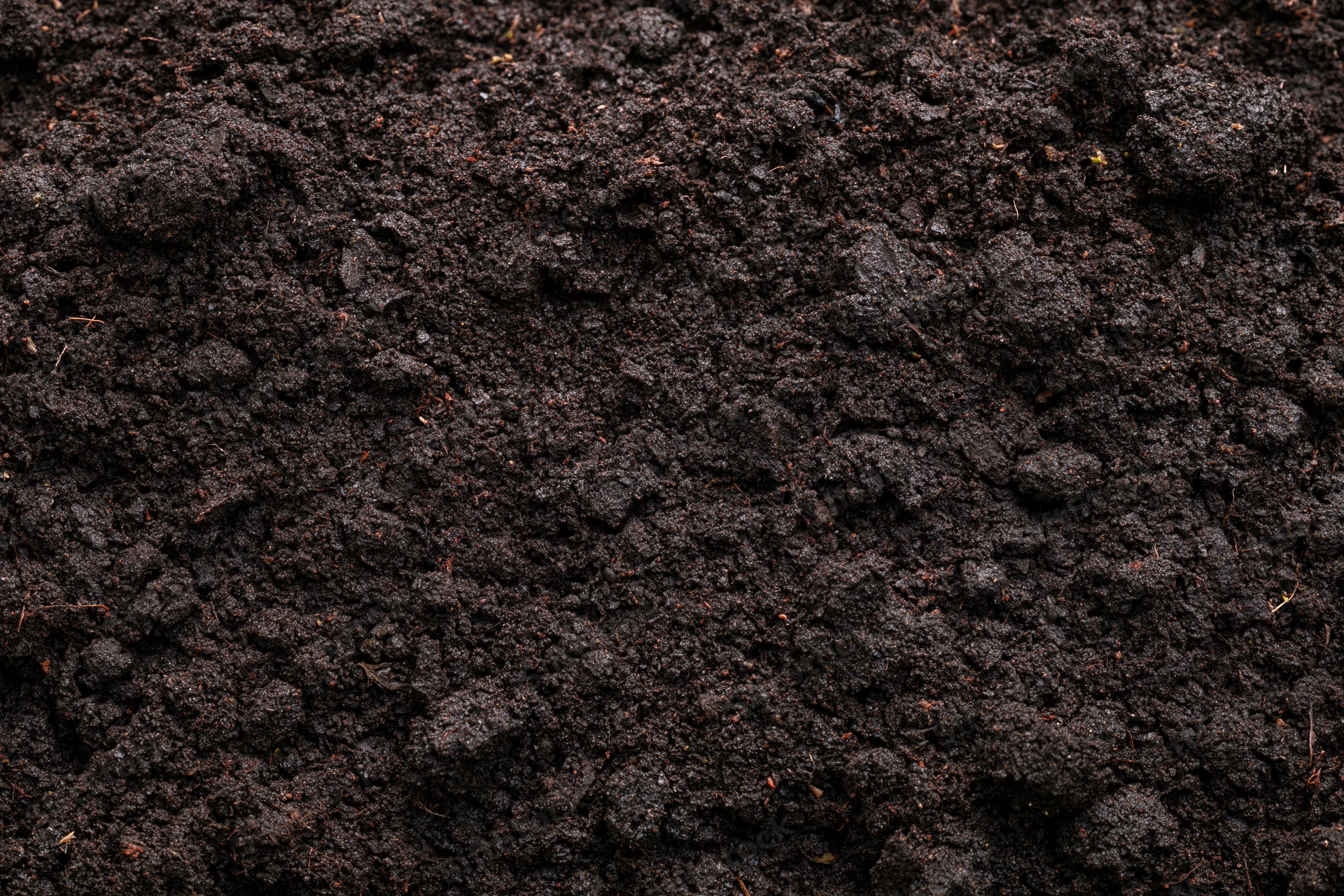Dark moist garden soil filling the frame in overhead flat lay view