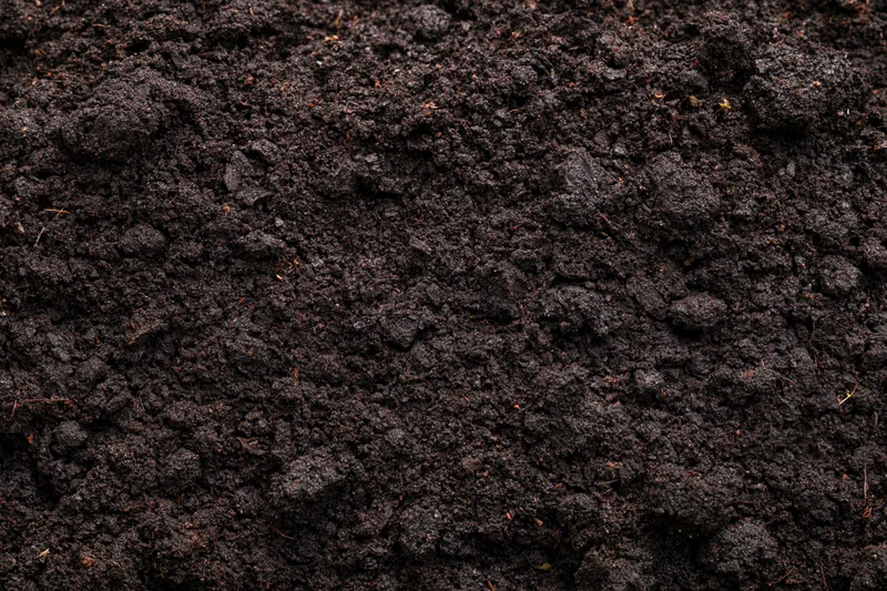 Dark moist garden soil filling the frame in overhead flat lay view