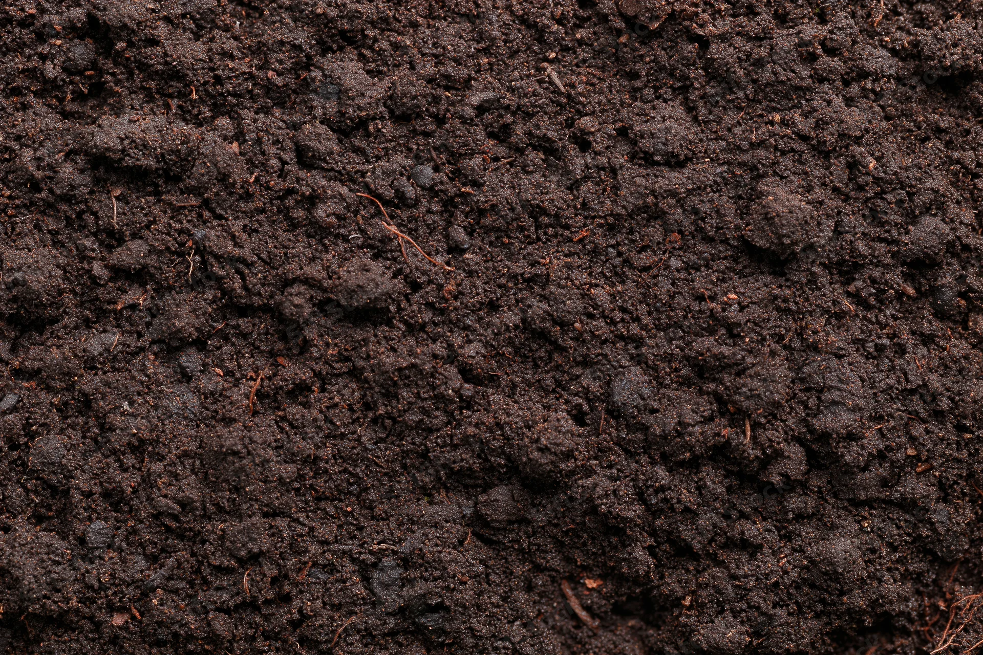 Dark moist garden soil filling the frame in a close-up overhead view
