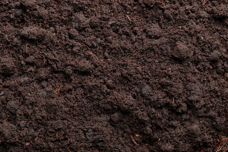 Dark moist garden soil filling the frame in a close-up overhead view