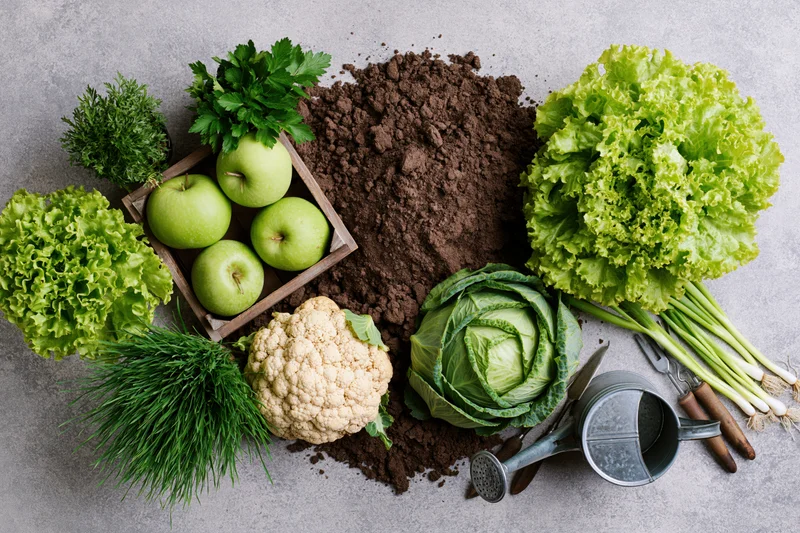 Flat lay arrangement of fresh vegetables, herbs, apples, soil, and gardening tools on a gray surface