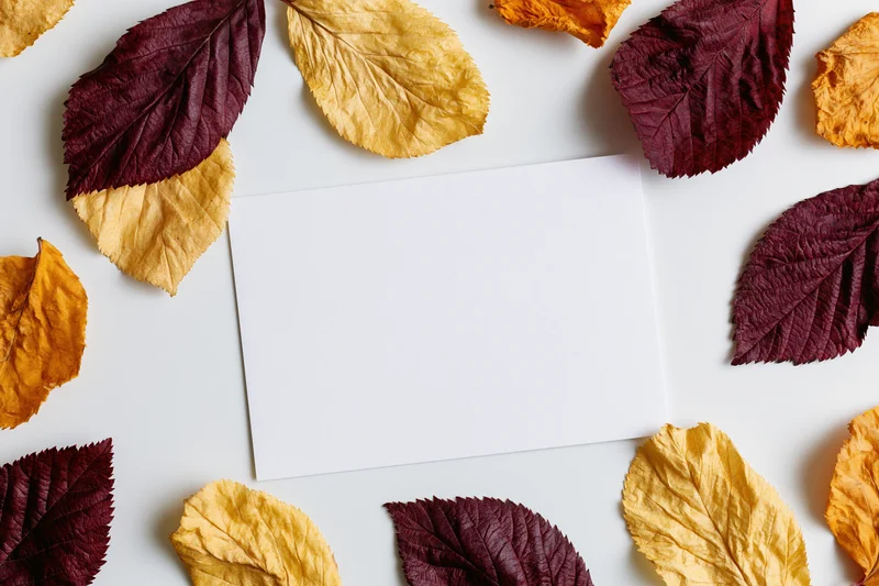 Blank white card centered on white surface surrounded by dried autumn leaves in maroon, yellow, and orange hues arranged in flat lay composition