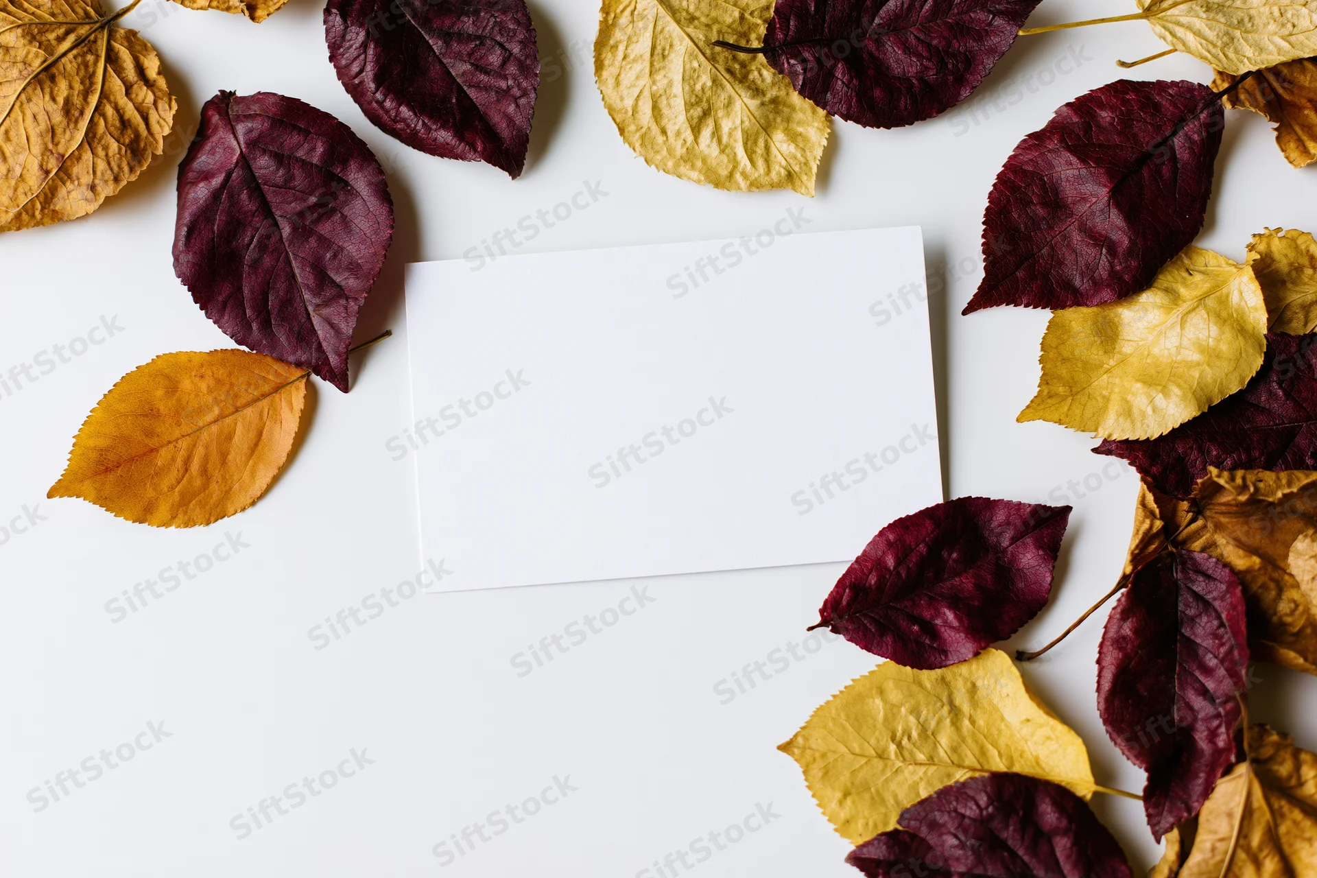 Blank white card centered on white surface surrounded by autumn leaves in flat lay arrangement