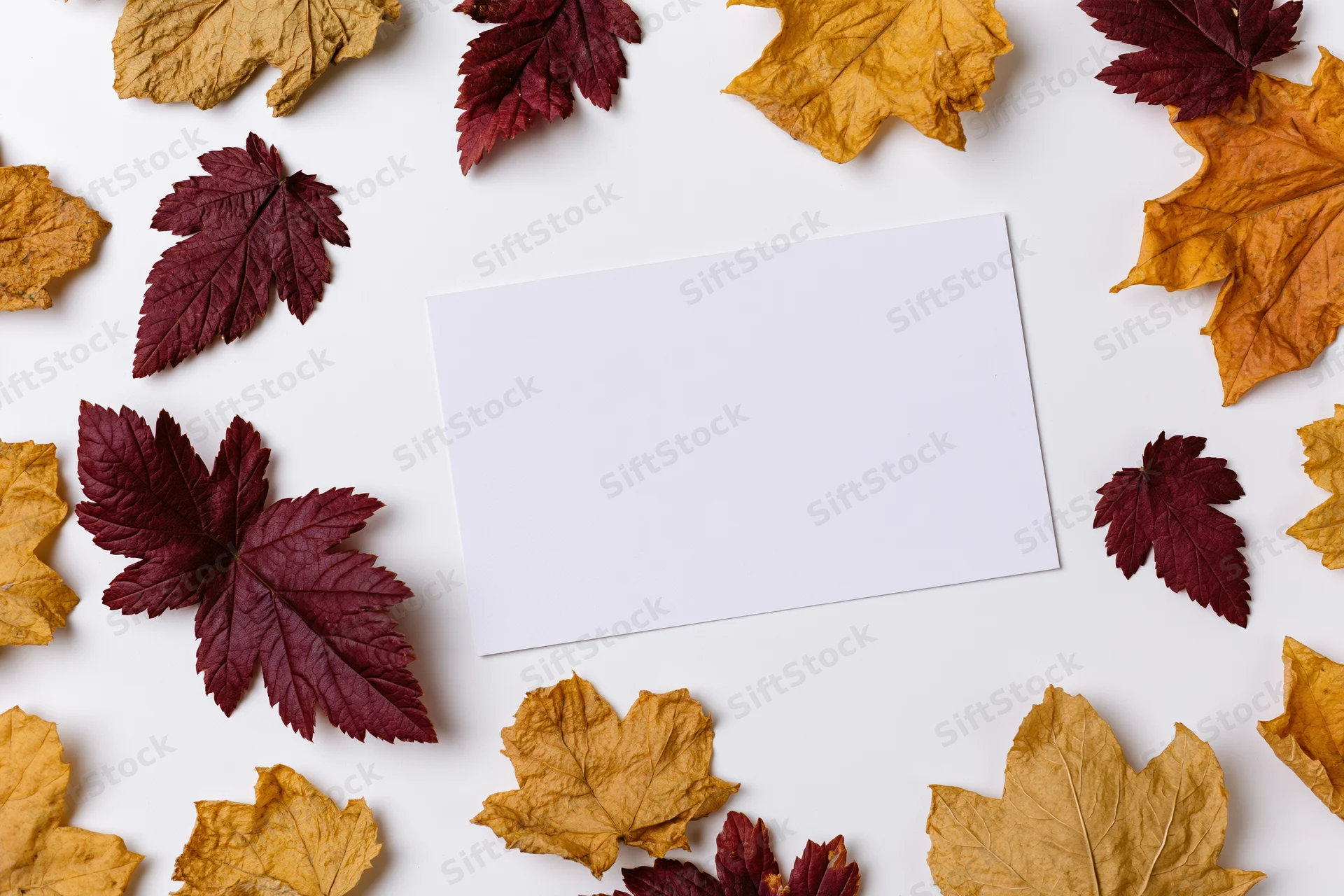 Blank white card centered on white surface surrounded by dried autumn leaves in red, orange, and yellow hues arranged in flat lay composition