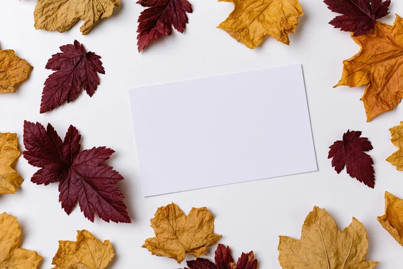 Blank white card centered on white surface surrounded by dried autumn leaves in red, orange, and yellow hues arranged in flat lay composition