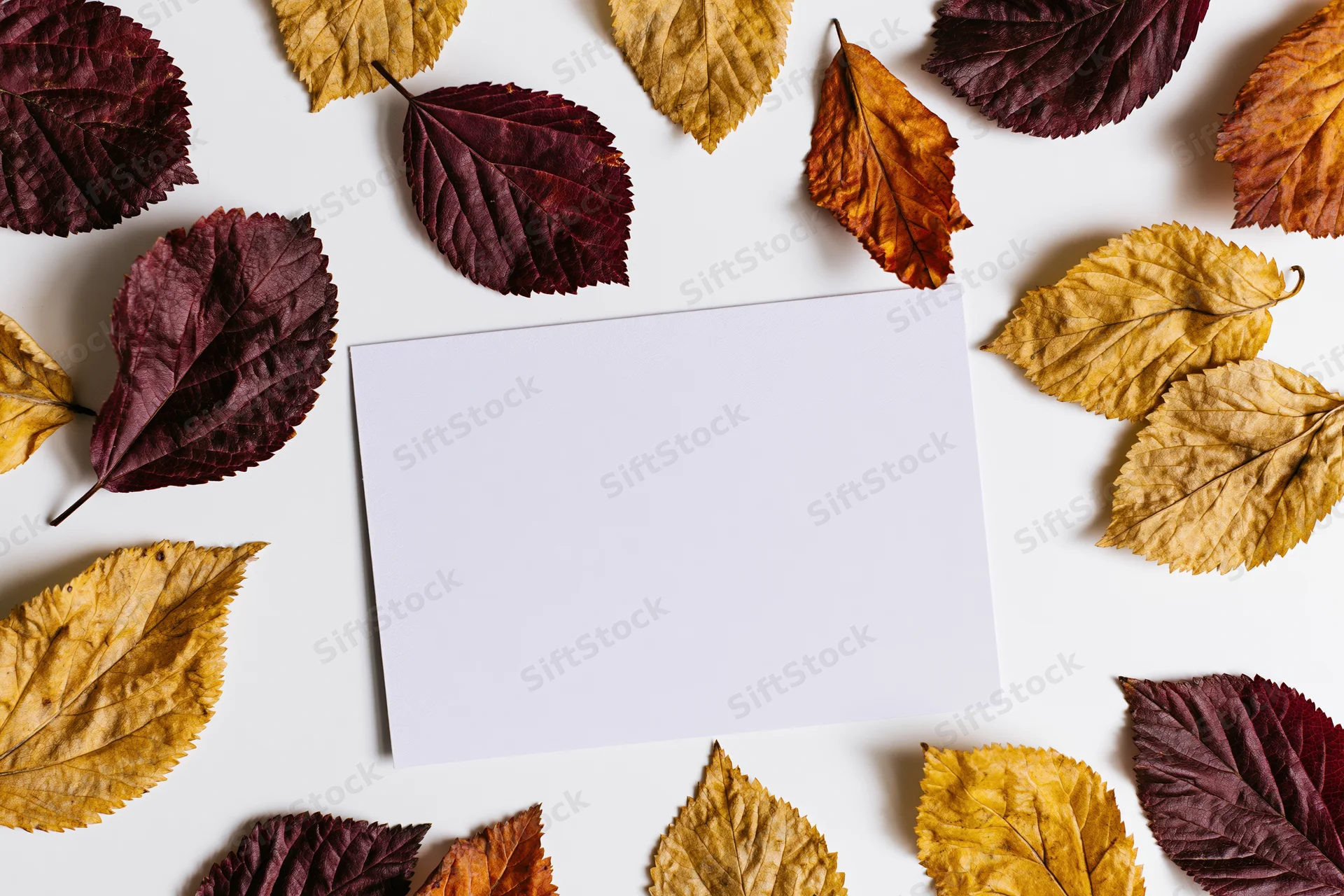 Blank white card centered on white surface surrounded by dried autumn leaves in flat lay arrangement