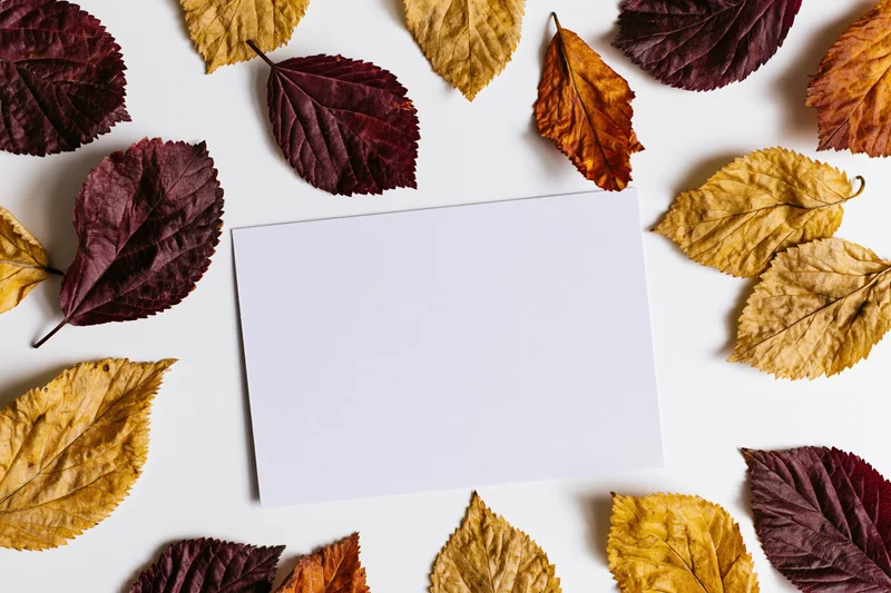 Blank white card centered on white surface surrounded by dried autumn leaves in flat lay arrangement