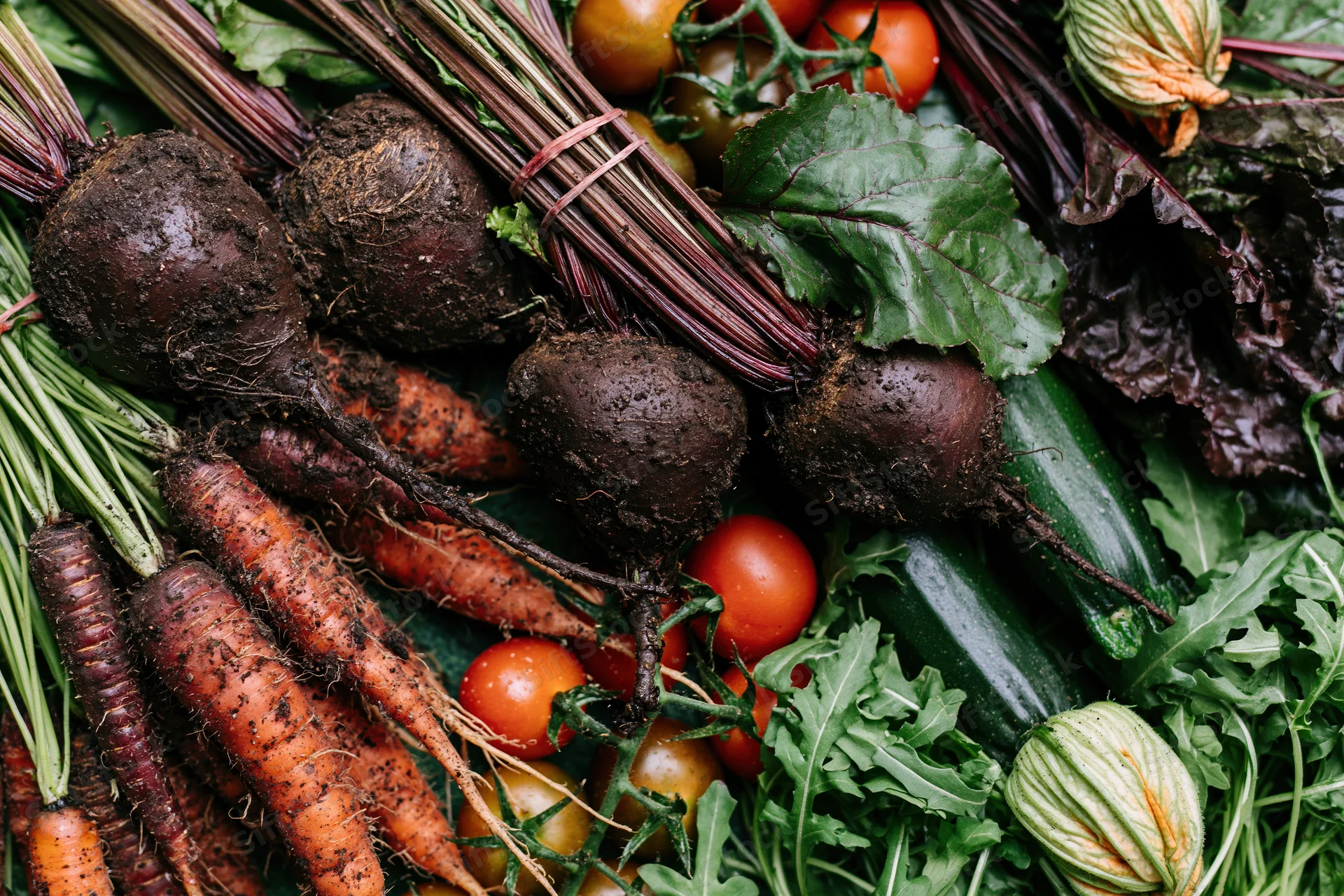 Fresh harvested garden vegetables arranged in flat lay with muddy beetroots, carrots, tomatoes, zucchini, and leafy greens