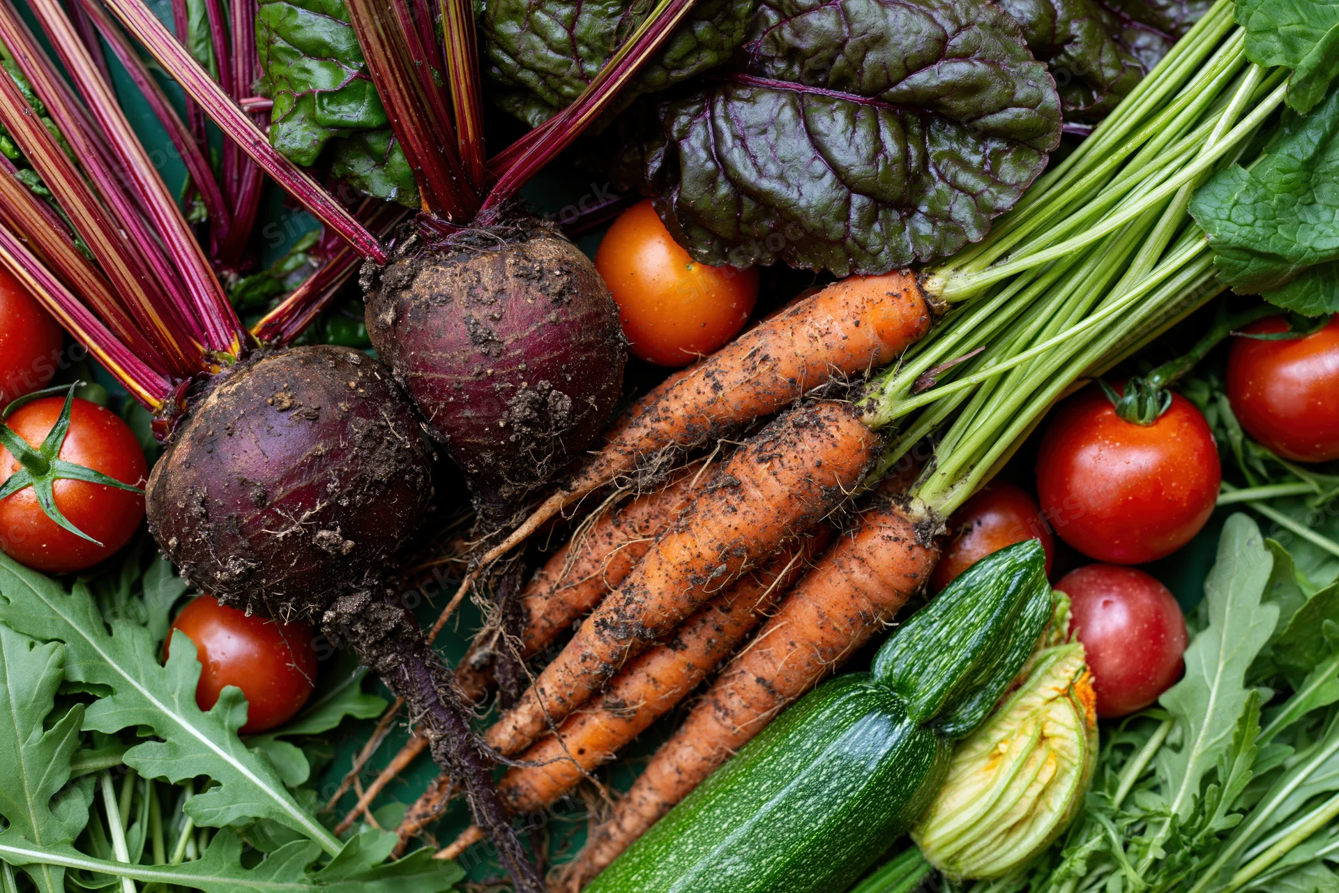 Fresh harvested garden vegetables arranged in flat lay with muddy beetroots, carrots, tomatoes, zucchini and leafy greens