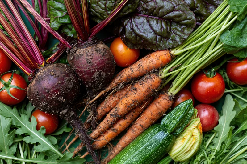 Fresh harvested garden vegetables arranged in flat lay with muddy beetroots, carrots, tomatoes, zucchini and leafy greens