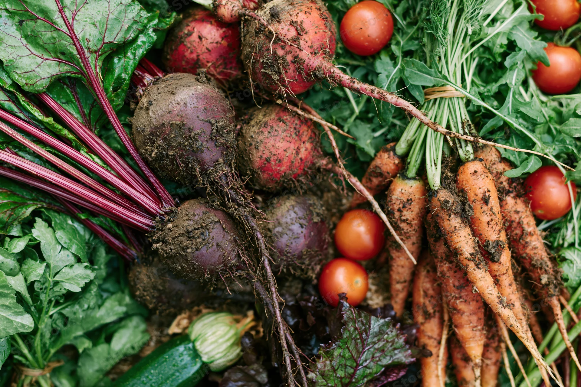 Fresh harvested garden vegetables arranged in a flat lay with muddy beetroots, carrots, radishes, tomatoes, and leafy greens