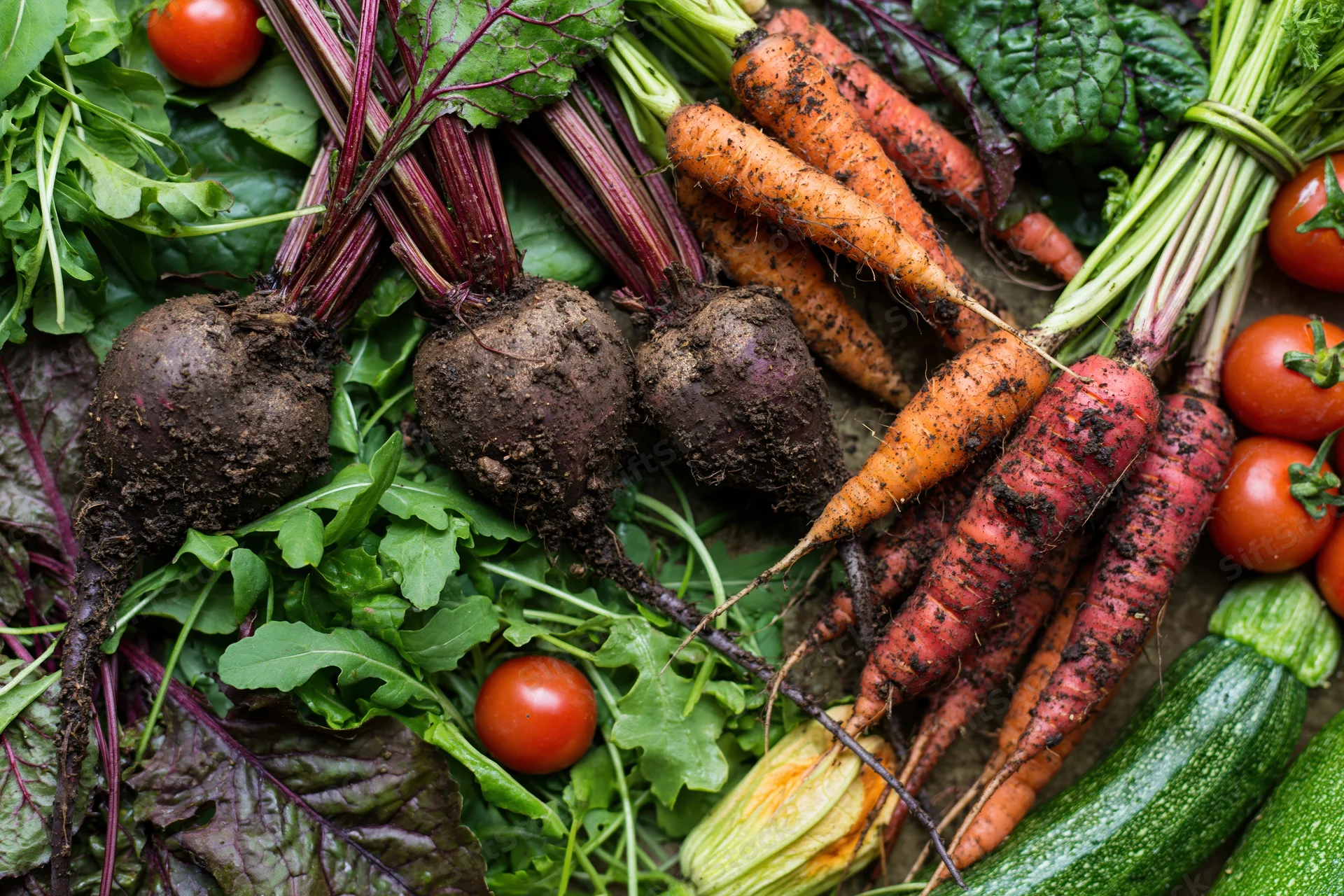 Fresh harvested garden vegetables arranged in a flat lay with muddy beetroots and carrots among leafy greens and tomatoes