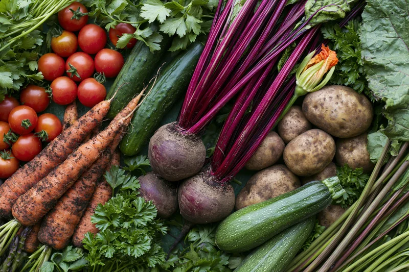 Freshly harvested vegetables arranged in a flat lay on a surface
