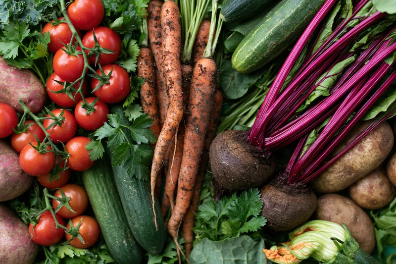 Freshly harvested vegetables arranged in a flat lay on a surface