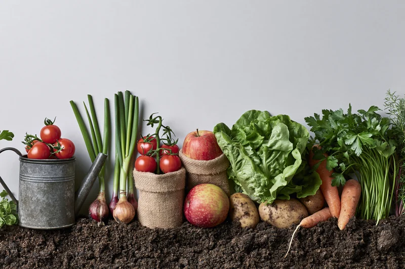 Garden vegetables and herbs arranged in soil with containers and burlap sacks in flat lay style