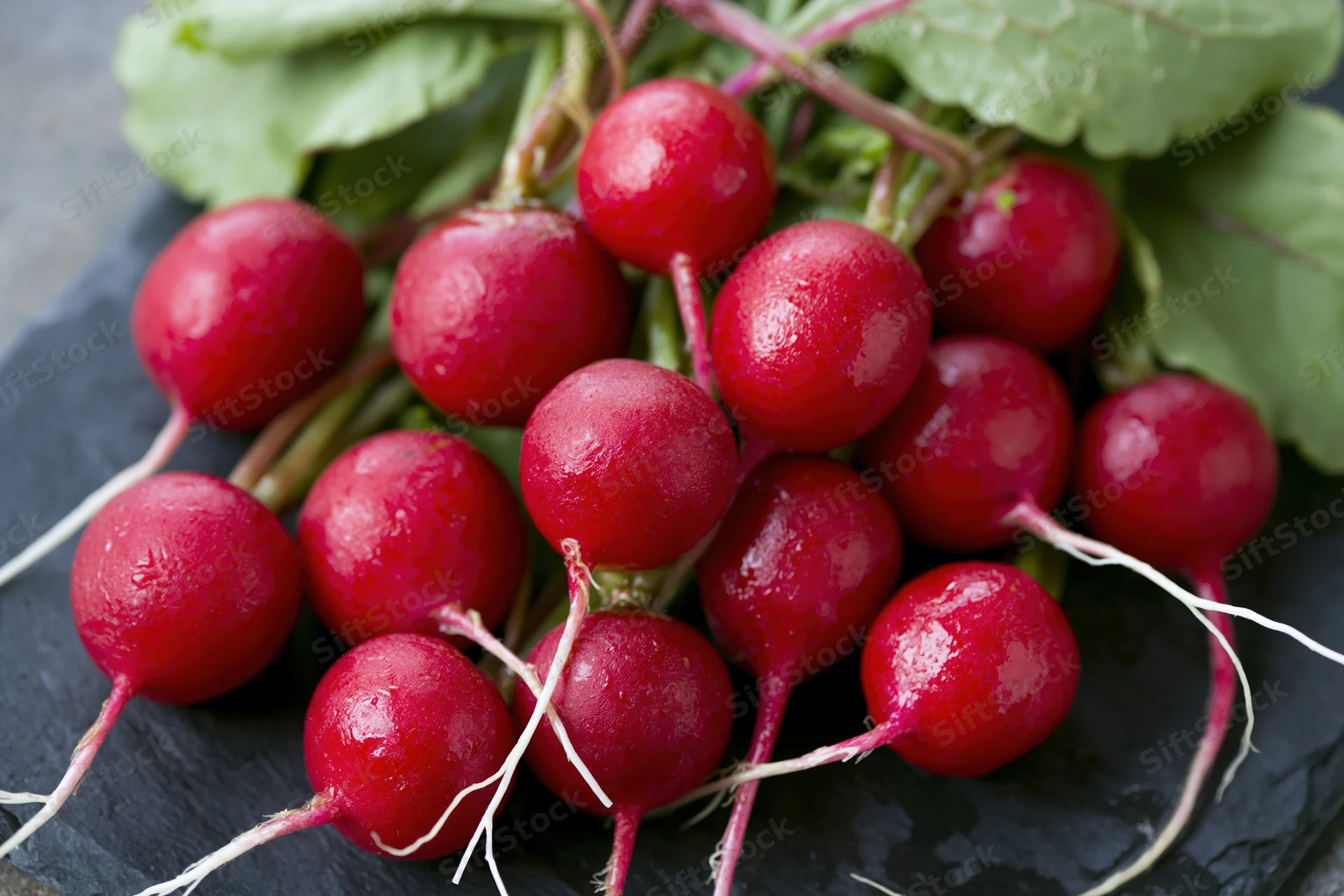 Fresh red radishes with green tops piled on dark slate surface