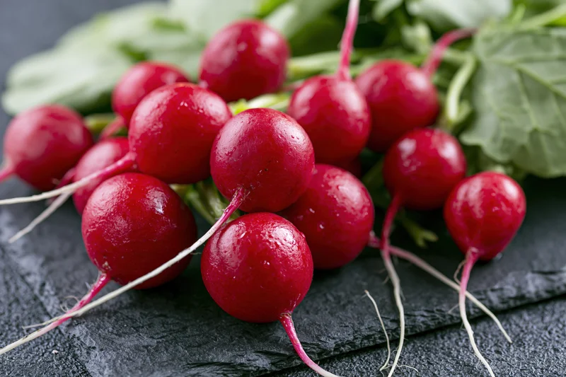 Fresh red radishes with green tops piled on dark slate surface