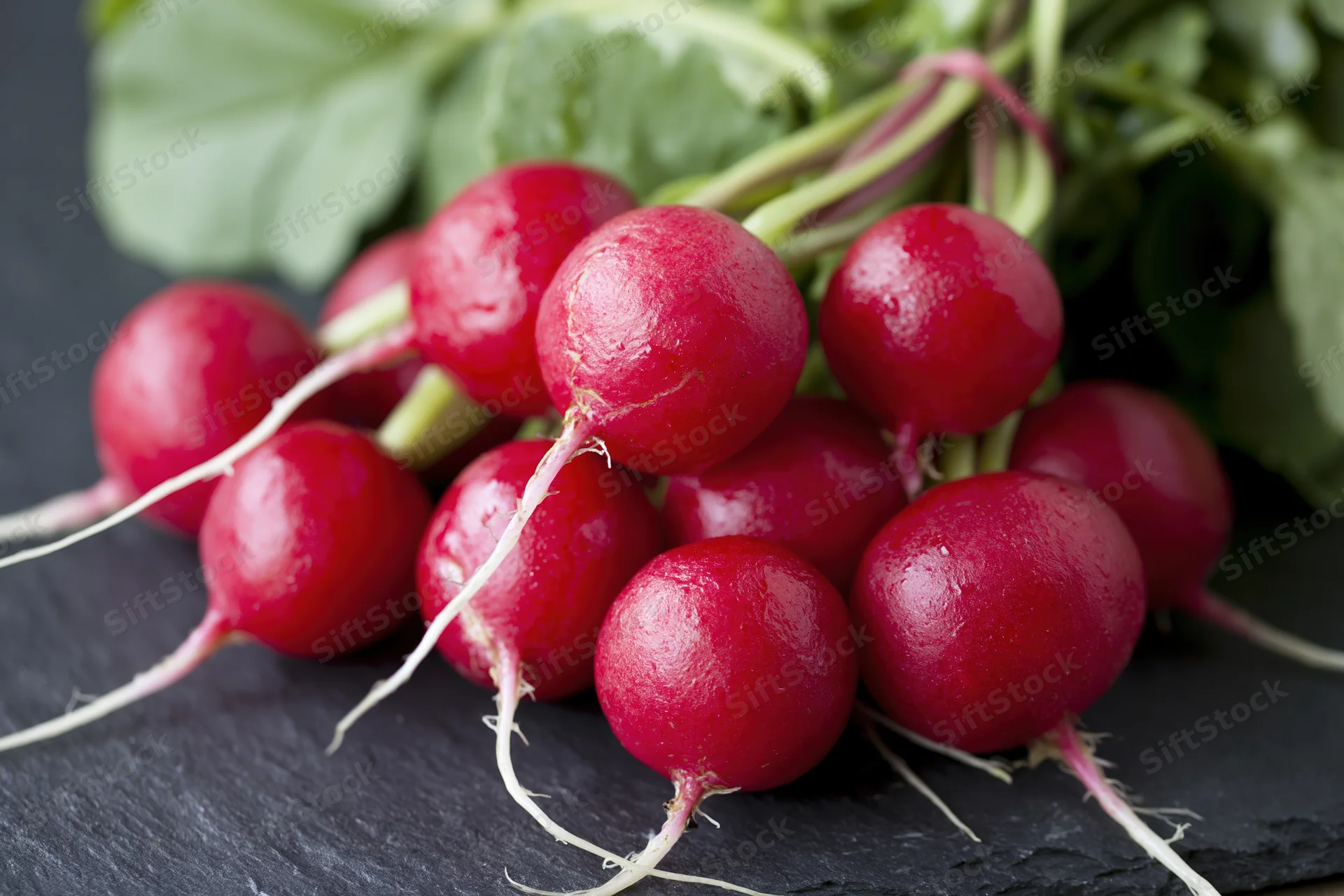 Fresh red radishes with green tops piled on dark slate surface