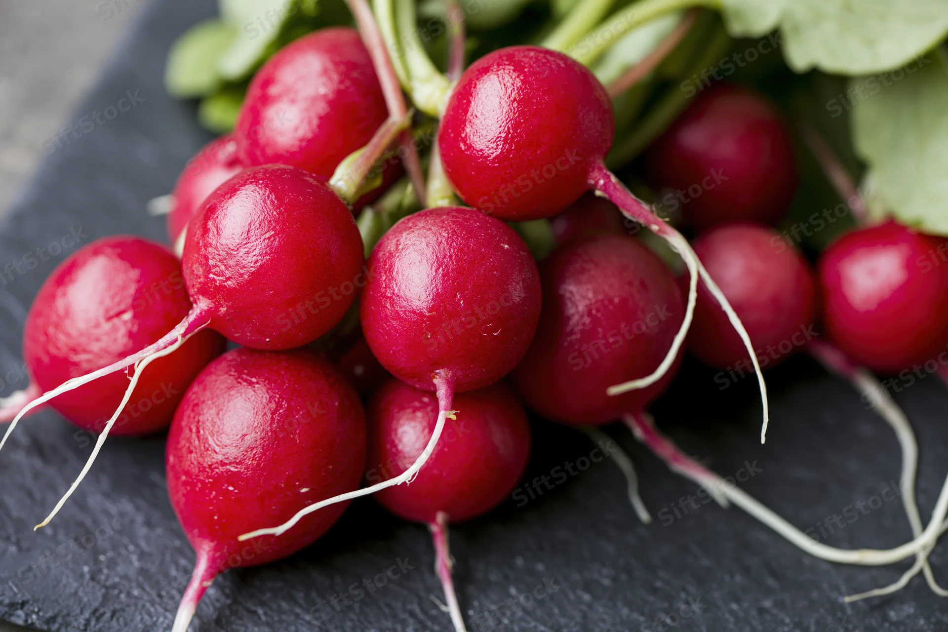 Fresh red radishes with green tops piled on dark slate surface