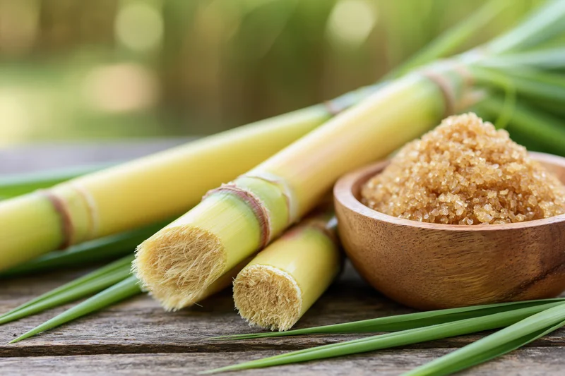 Freshly cut sugarcane stalks and segments arranged on a wooden table with a bowl of brown sugar and green leaves around