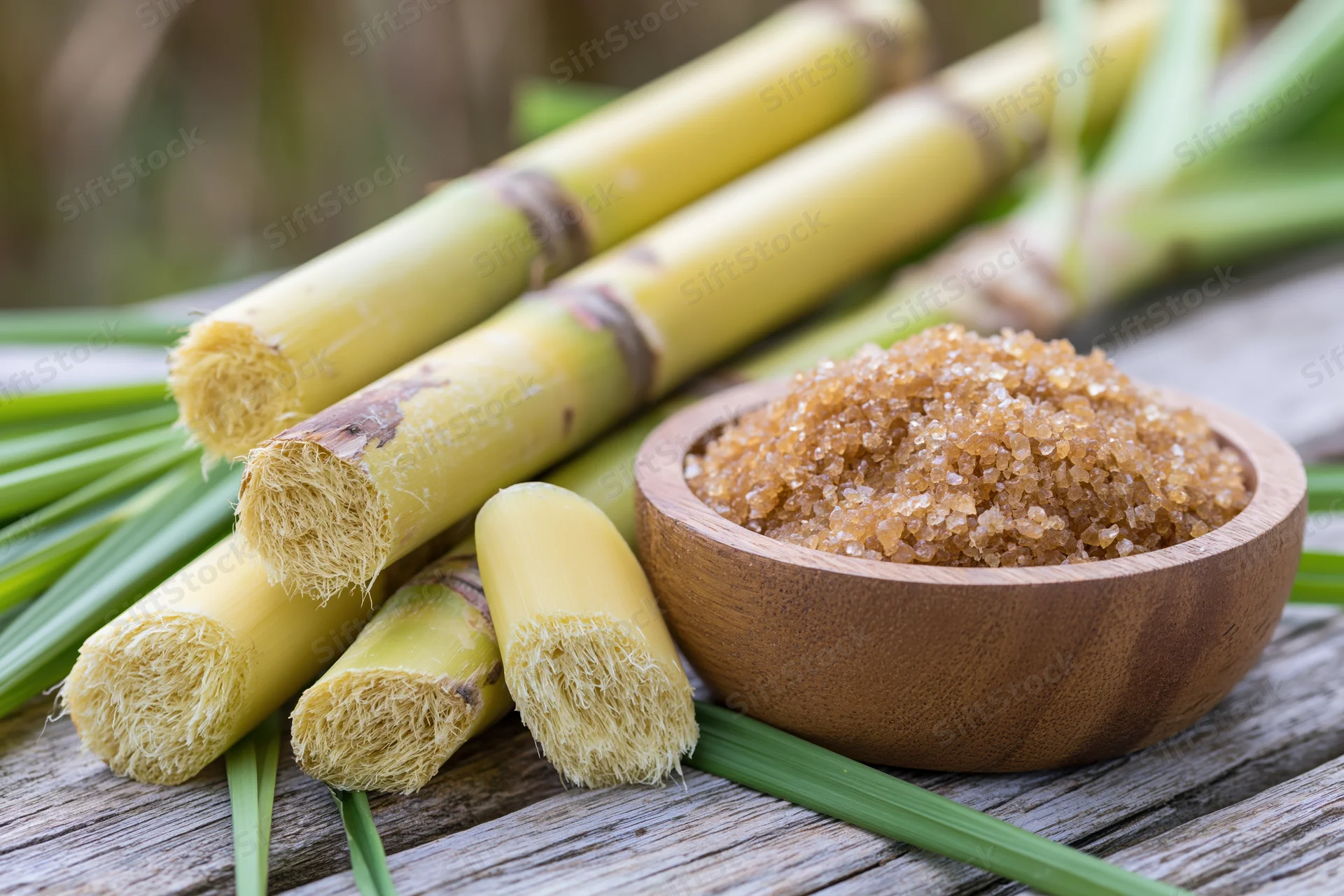 Freshly cut sugarcane stalks and segments arranged with brown sugar in a wooden bowl on a rustic wooden table