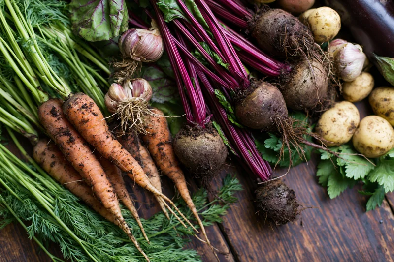 Freshly harvested vegetables arranged loosely on a dark wooden table