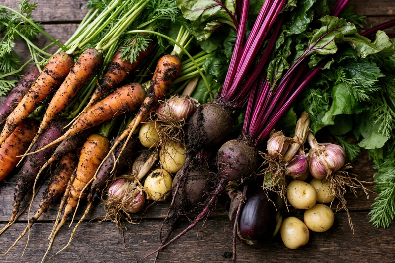 Freshly harvested root vegetables arranged loosely on a dark wooden table