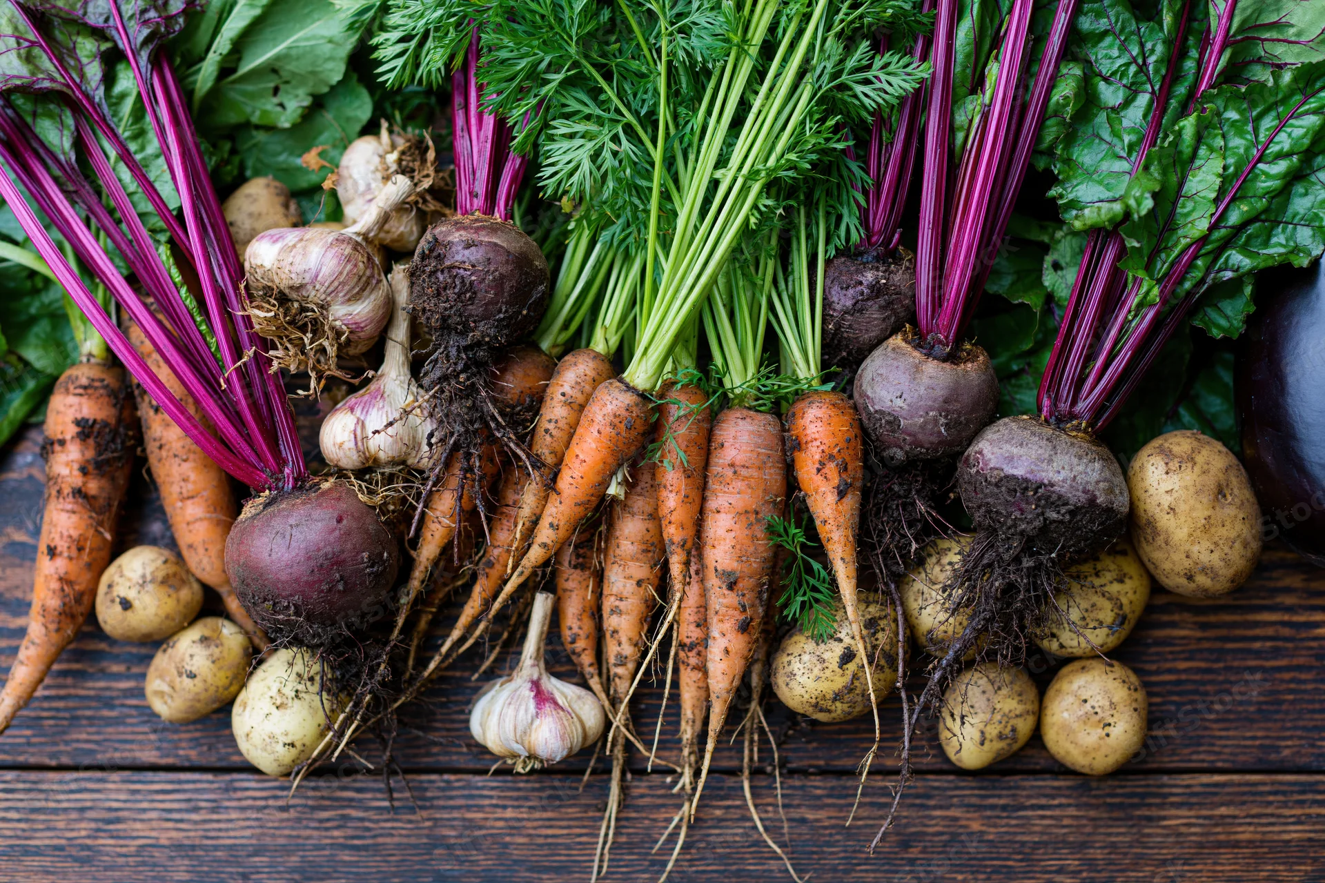 Freshly harvested root vegetables arranged loosely on a dark wooden table