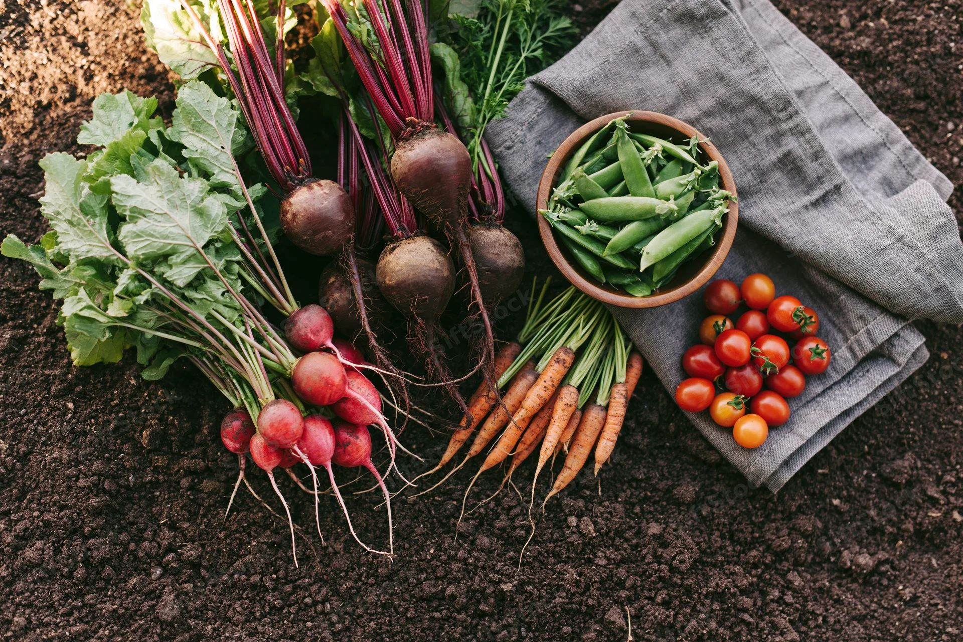 Freshly harvested vegetables arranged on dark soil with a cloth and bowl